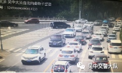 去东山采枇杷？这份出行指南必看！