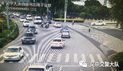 去东山采枇杷？这份出行指南必看！