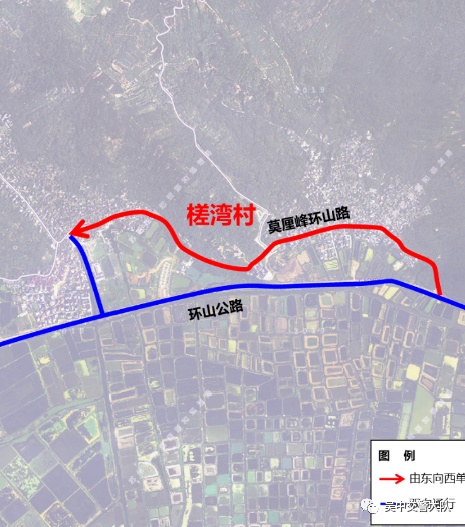 去东山采枇杷？这份出行指南必看！