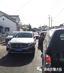 去东山采枇杷？这份出行指南必看！