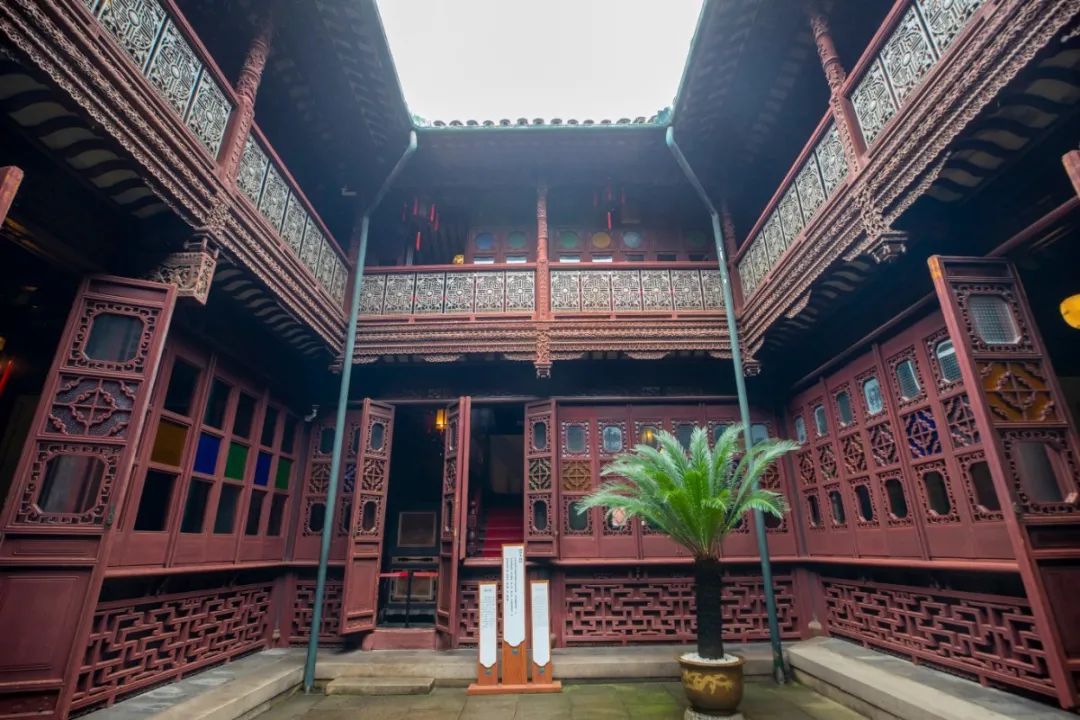 又到枇杷采摘季，出发尝鲜去！