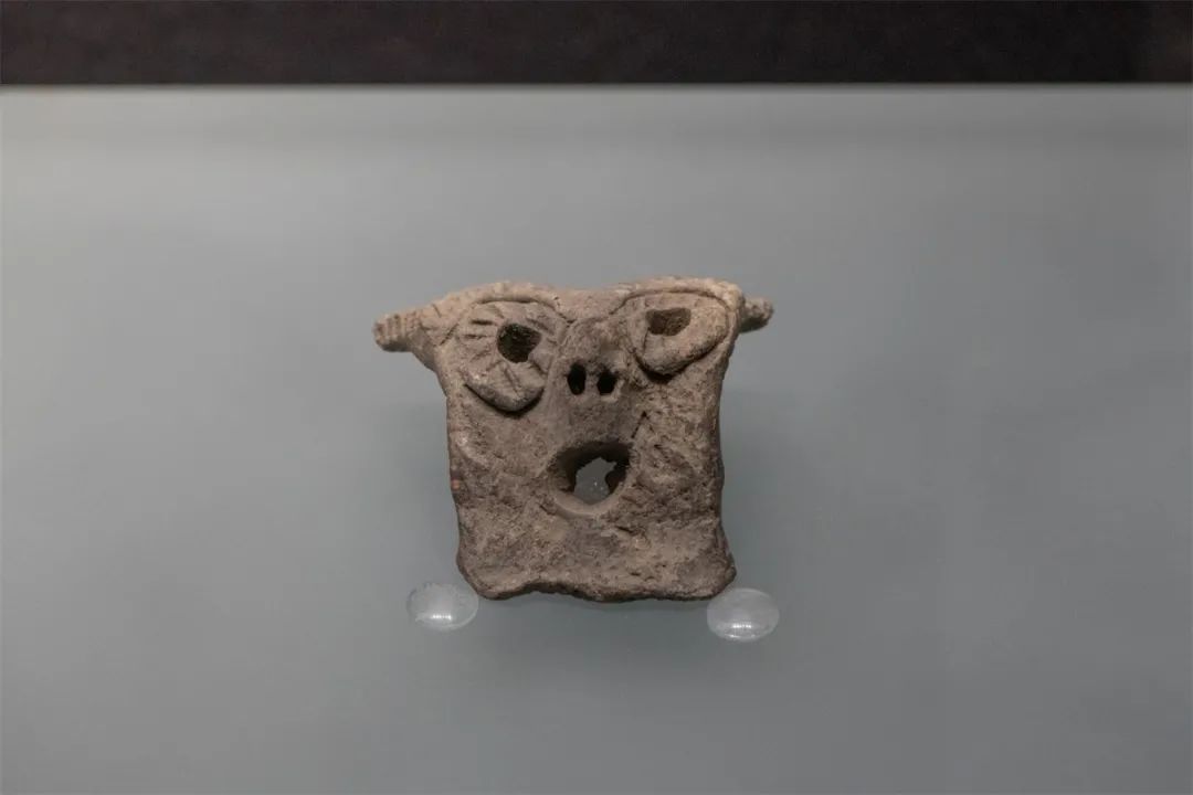 速来围观！这场展览，有趣又有料！