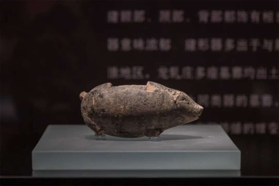 速来围观！这场展览，有趣又有料！
