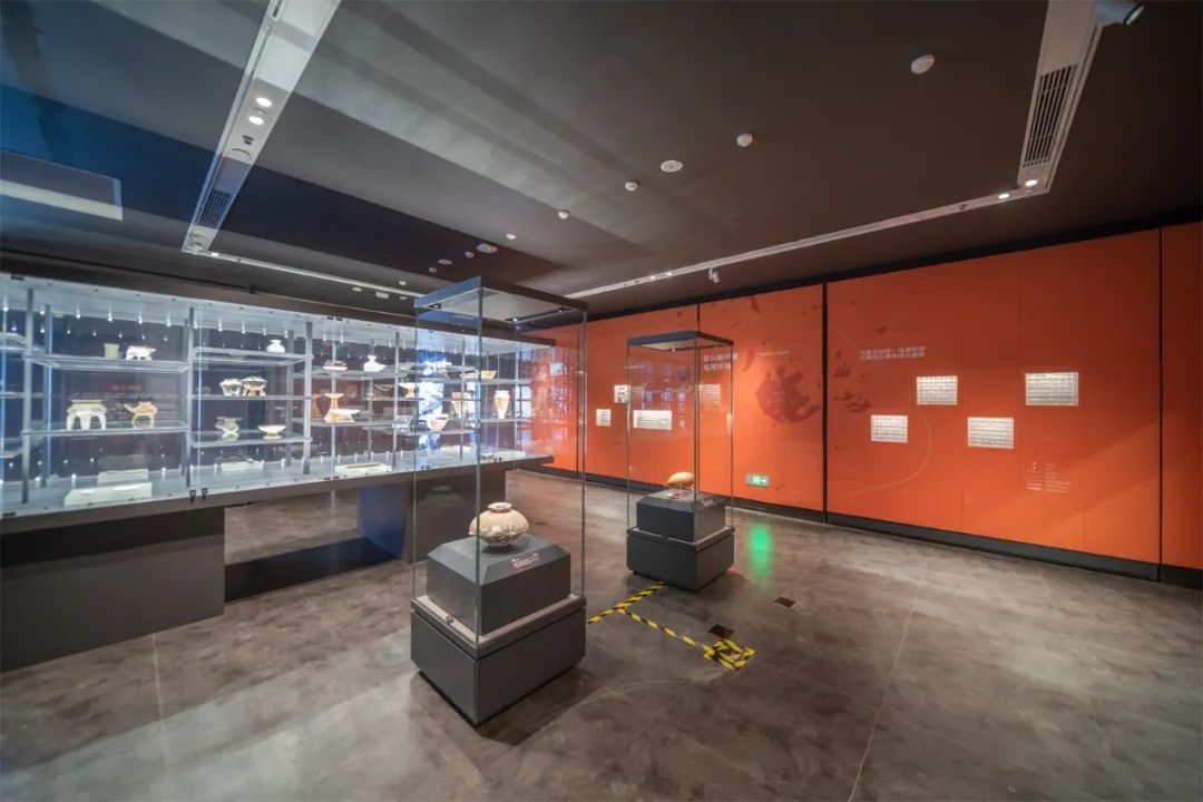 速来围观！这场展览，有趣又有料！