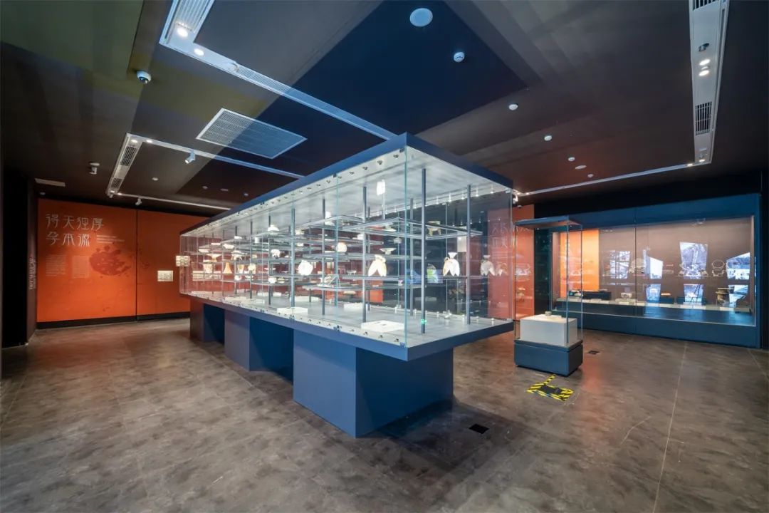 速来围观！这场展览，有趣又有料！