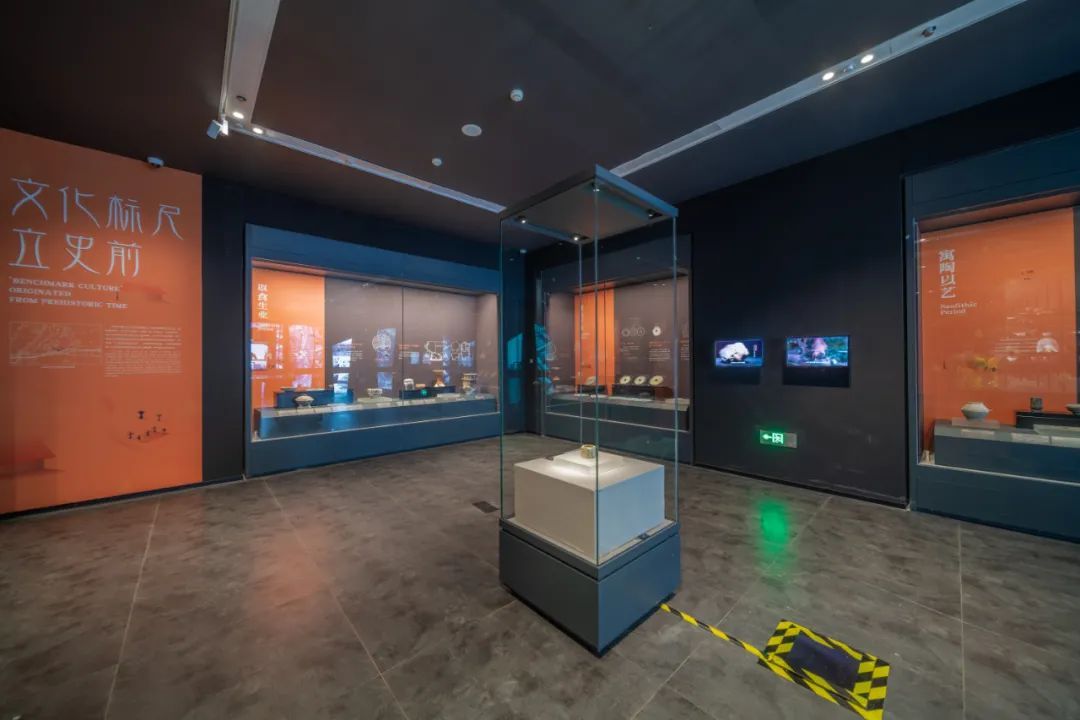 速来围观！这场展览，有趣又有料！