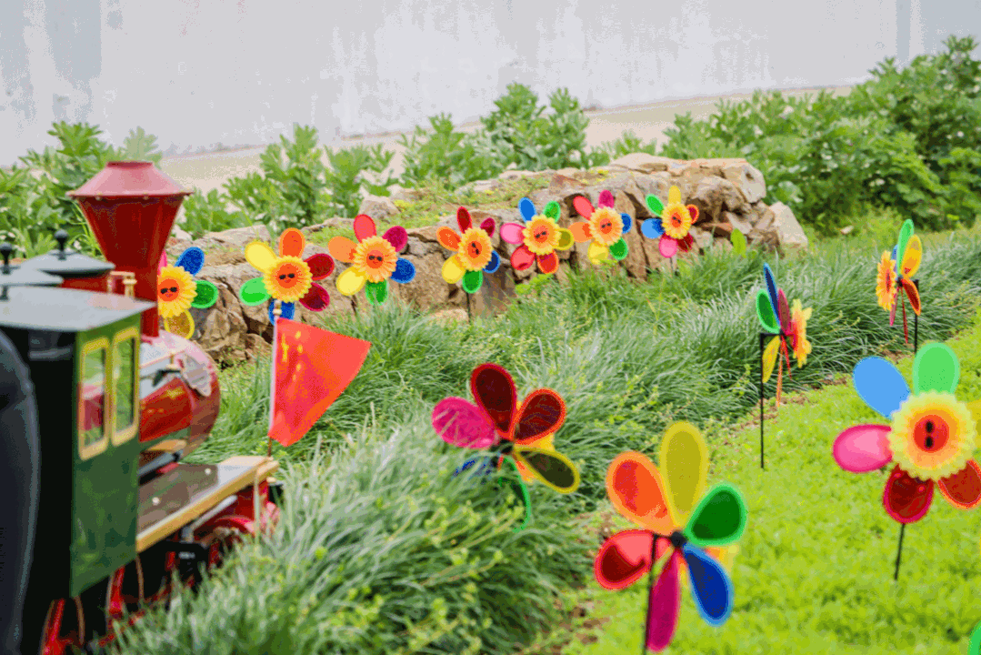 出面只需1分钟!苏州首家无人面馆就在…