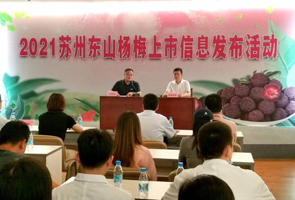 东山镇召开2021苏州东山杨梅上市信息发布会