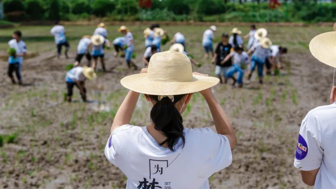 2021第二届香乡恬田夏日插秧节正式启动！