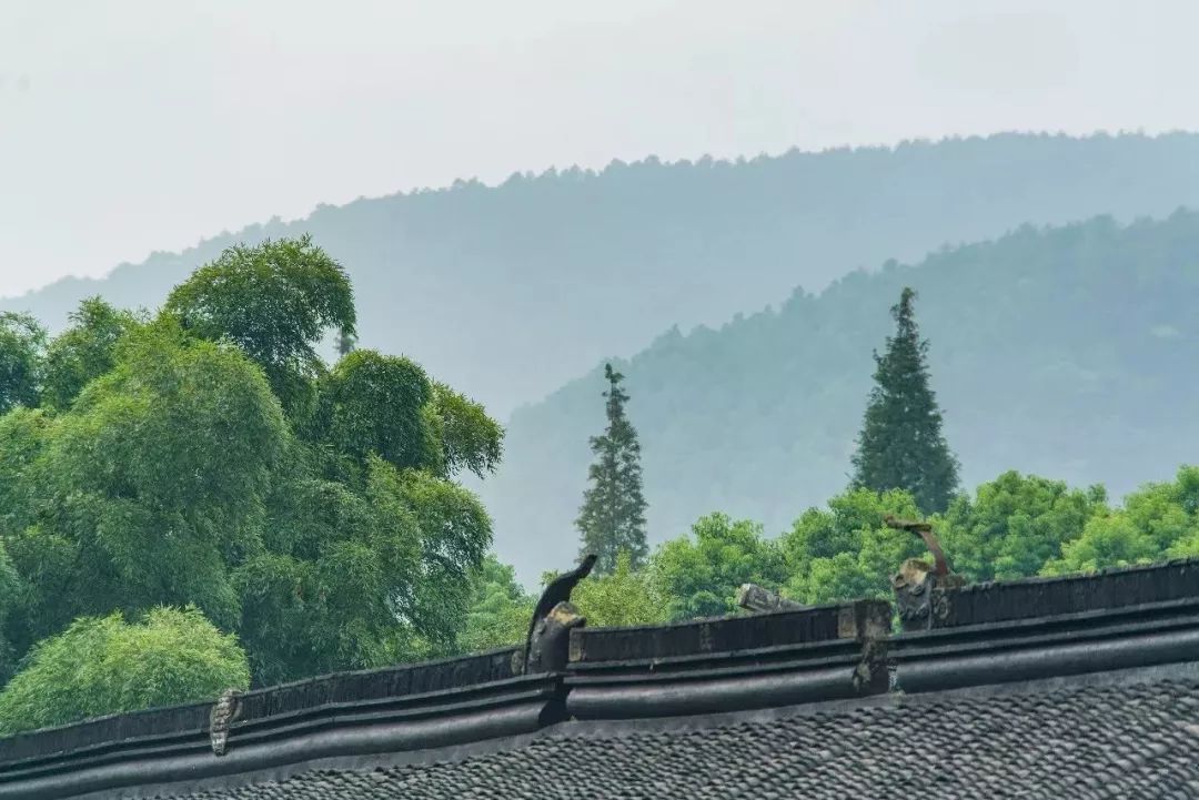 省级+1！吴中这3个村要火！