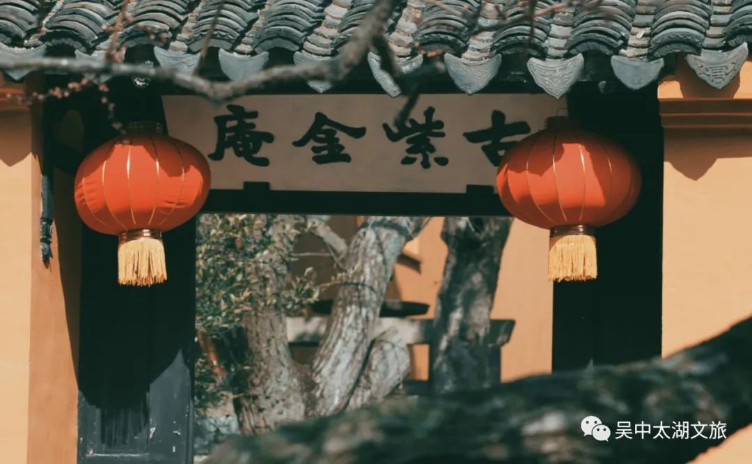 这个假期，“梅”你不行！