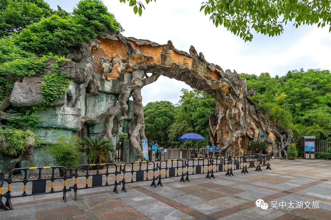 在万鸟园，解锁暑期遛娃“新姿势”！
