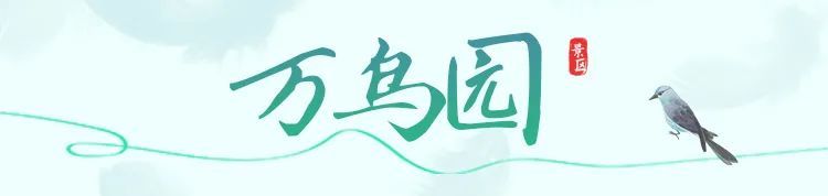 在万鸟园，解锁暑期遛娃“新姿势”！