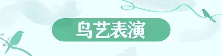 在万鸟园，解锁暑期遛娃“新姿势”！