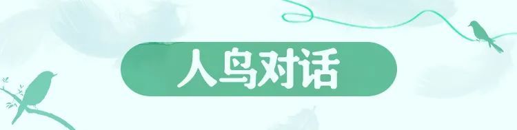 在万鸟园，解锁暑期遛娃“新姿势”！