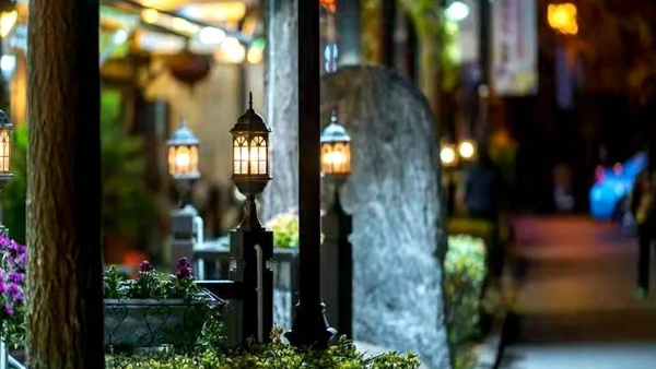 夜游开放!下班就出发!