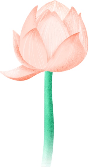 花都开好了！是否“荷”你心意？