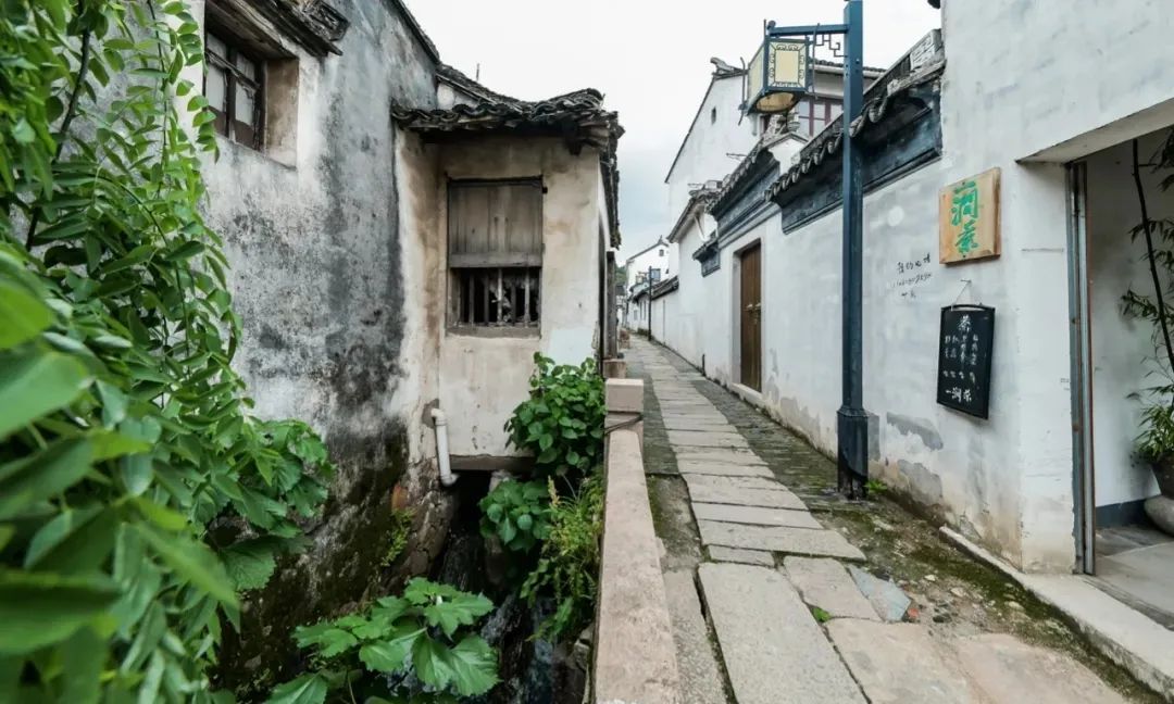 太湖游 | 城外风光好，赴一趟吴地寻踪、国宝探秘之旅