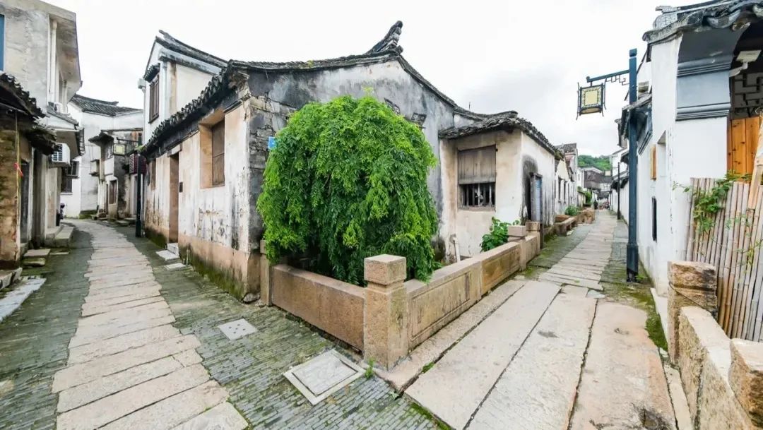 太湖游 | 城外风光好，赴一趟吴地寻踪、国宝探秘之旅