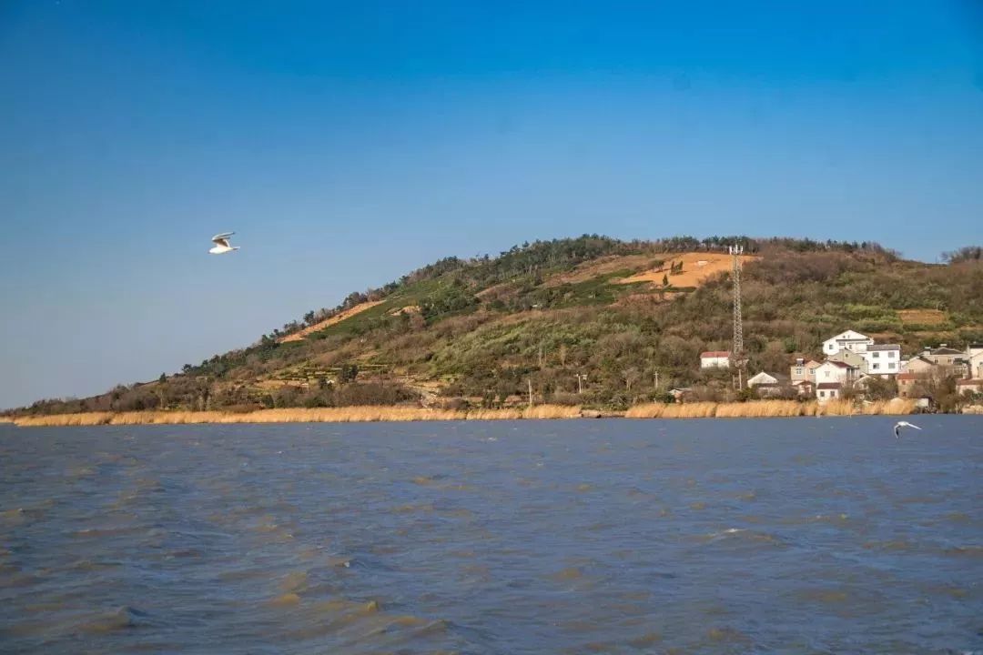 吴中旖旎风光，尽在湖岛和古村！