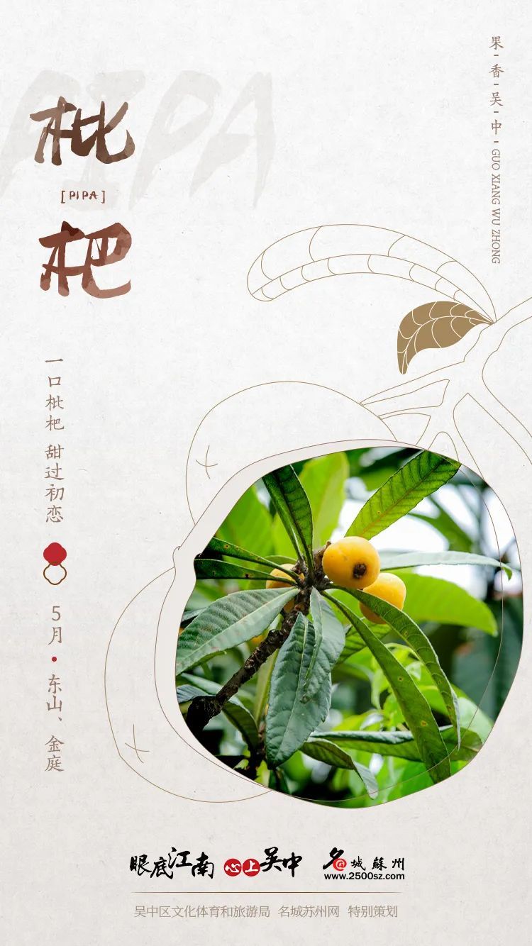 果香吴中，甜美四季！安排！