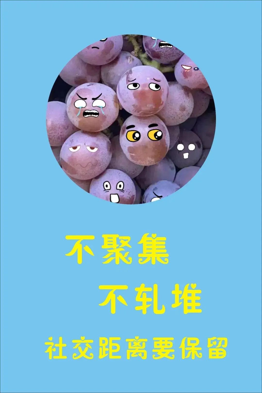 果香吴中，甜美四季！安排！