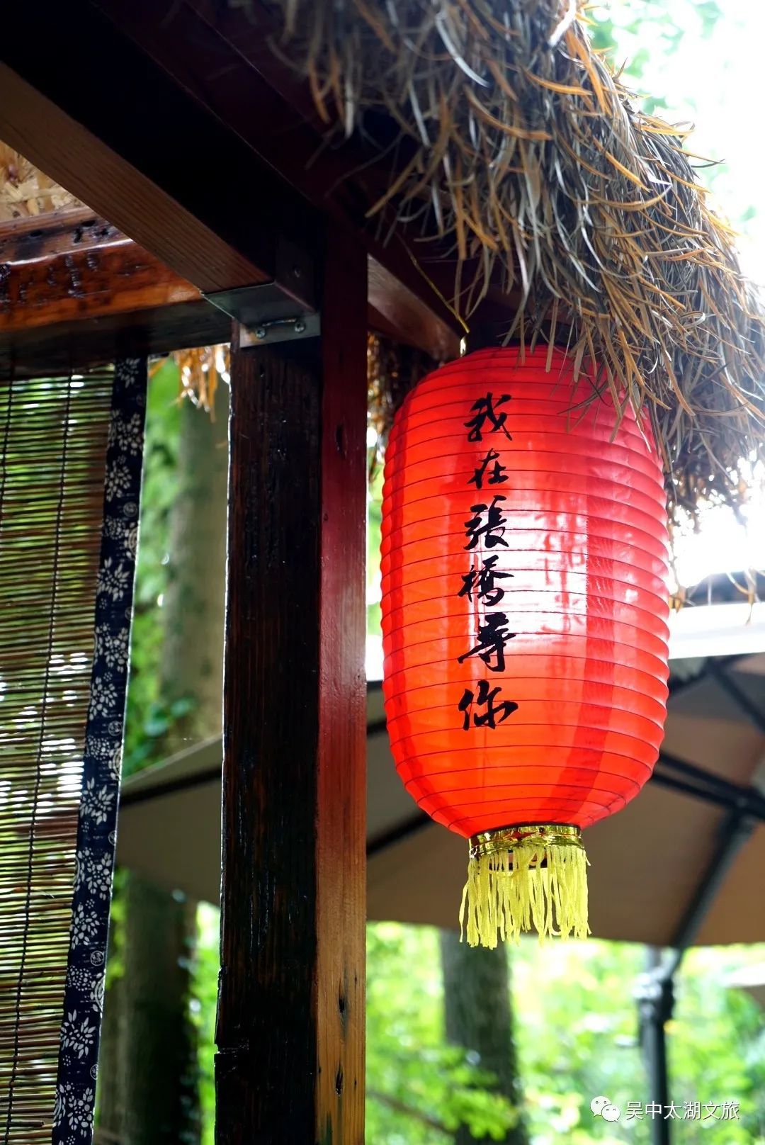 在张桥偶遇这些精致小店，连空气都甜！