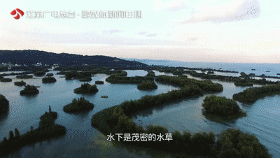《游遍江苏》镜头下的吴中真好玩！