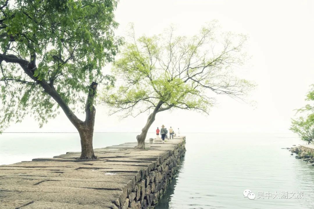 《游遍江苏》镜头下的吴中真好玩！