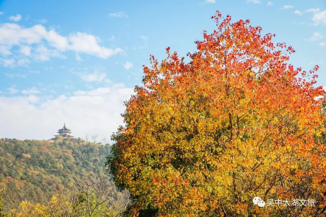 你想要的秋天,这里都有!