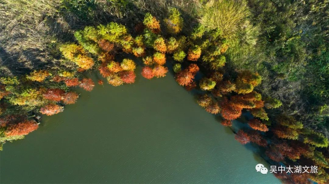 你想要的秋天,这里都有!