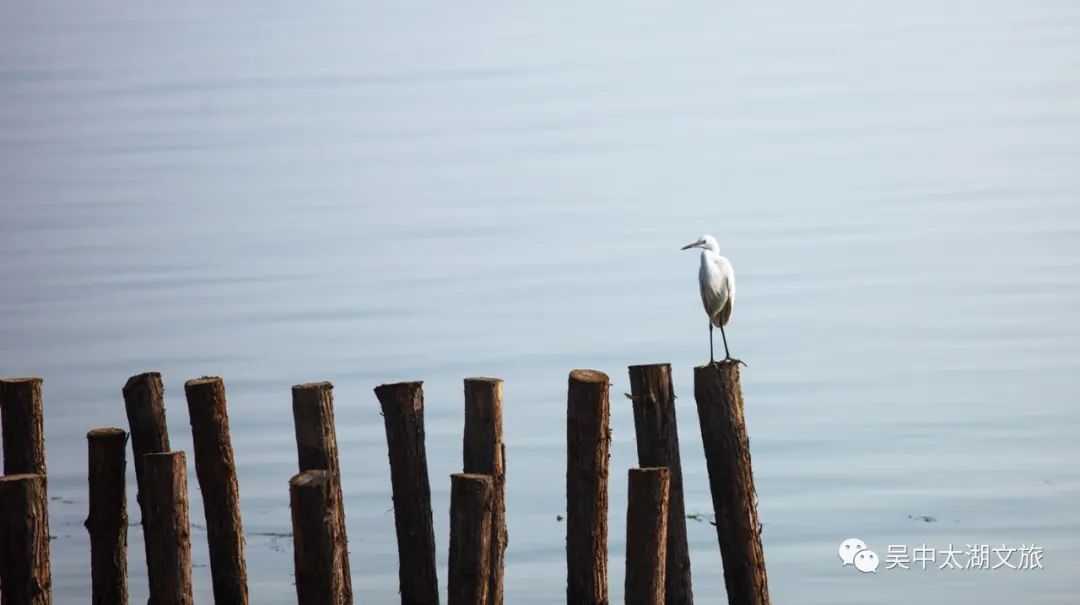 你想要的秋天,这里都有!