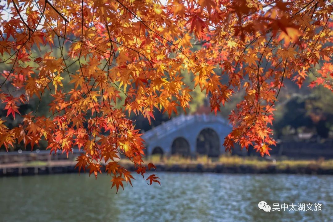 你想要的秋天,这里都有!
