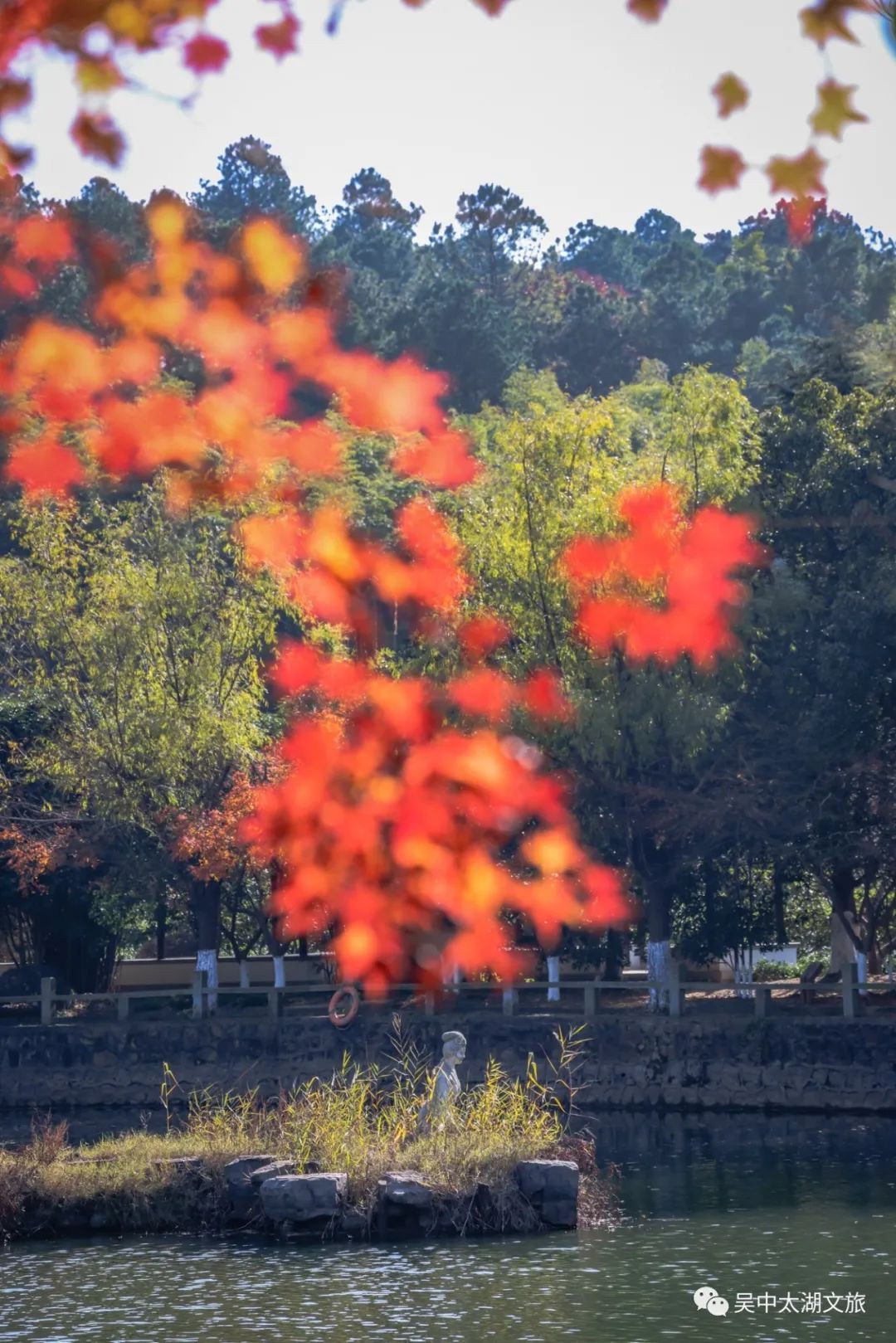你想要的秋天,这里都有!