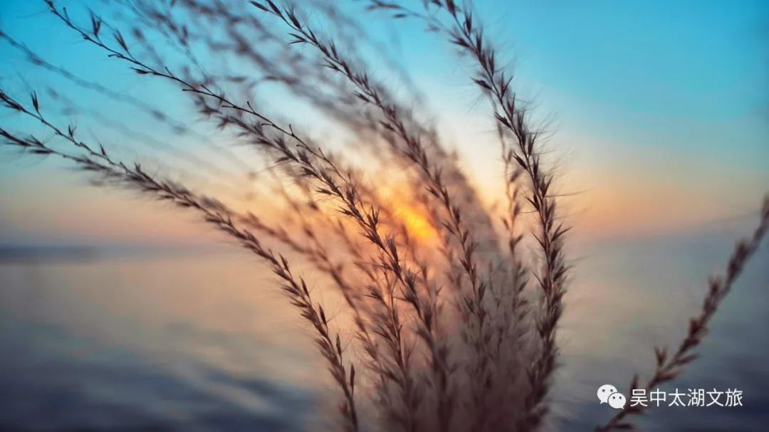 你想要的秋天,这里都有!