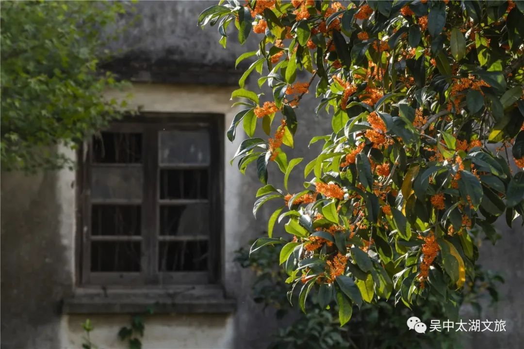 你想要的秋天,这里都有!