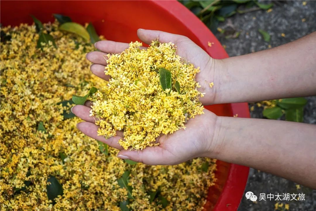 你想要的秋天,这里都有!