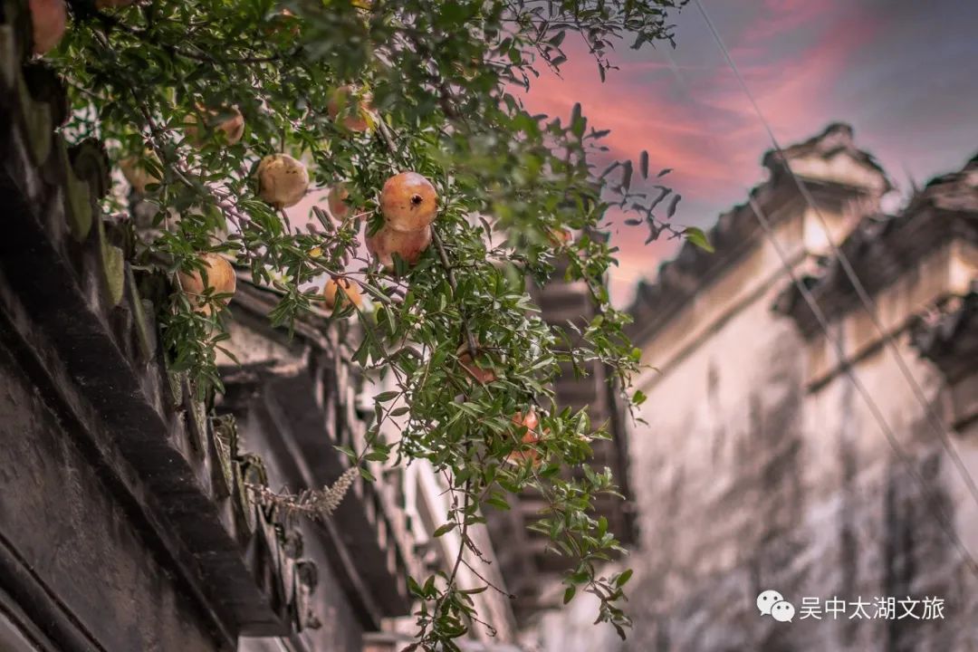 你想要的秋天,这里都有!