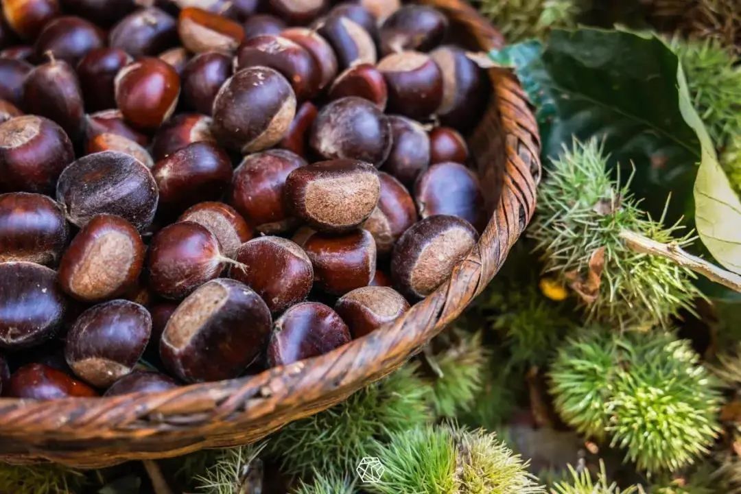 你想要的秋天,这里都有!