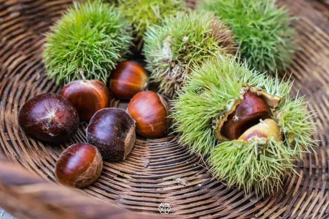 你想要的秋天,这里都有!