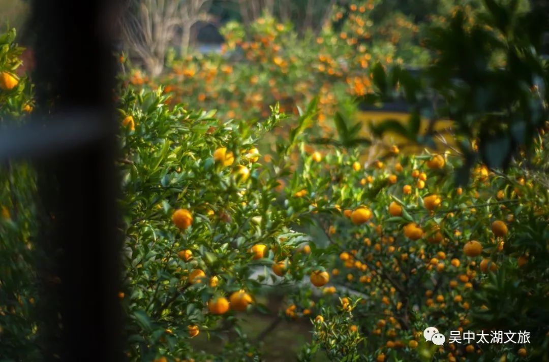 你想要的秋天,这里都有!