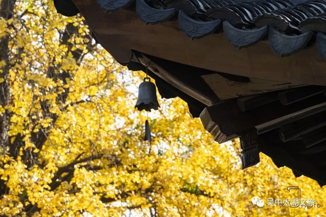 秋韵吴中丨听说，你有一场关于江南古镇的梦