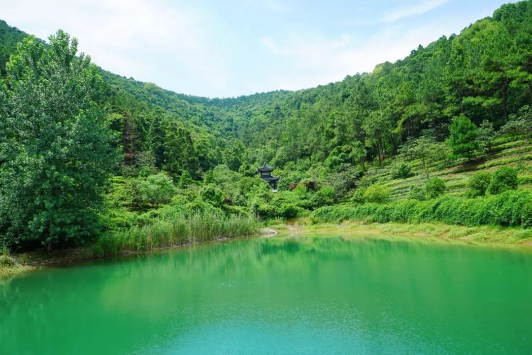 上课啦！集合地点：旺山！