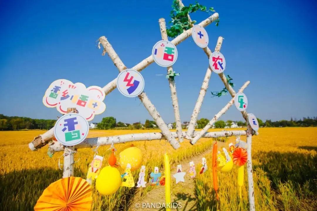 秋韵吴中丨寻忆美丽乡村，入住网红民宿！安排！