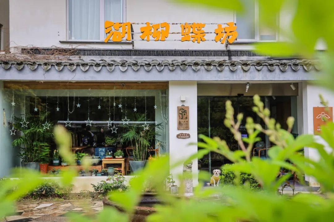 秋韵吴中丨寻忆美丽乡村，入住网红民宿！安排！