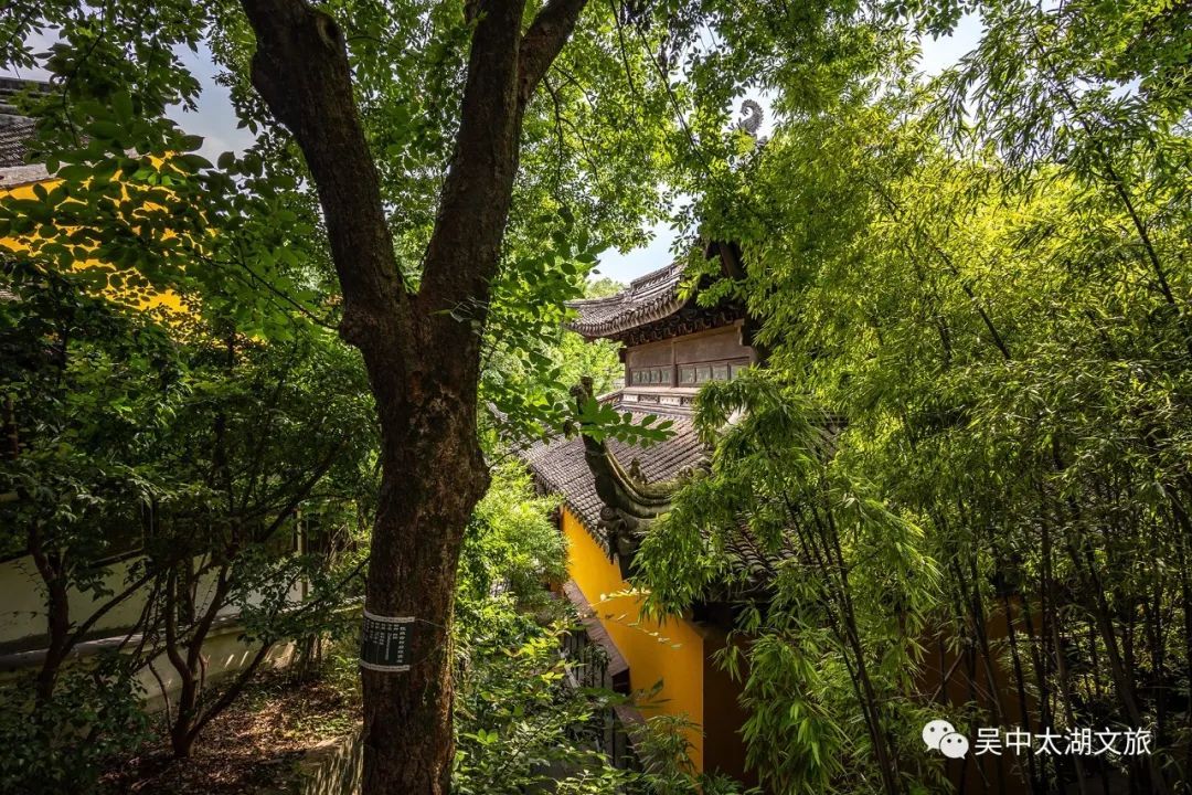 钻进塔山上的书院，与喧闹的都市隔绝2小时！
