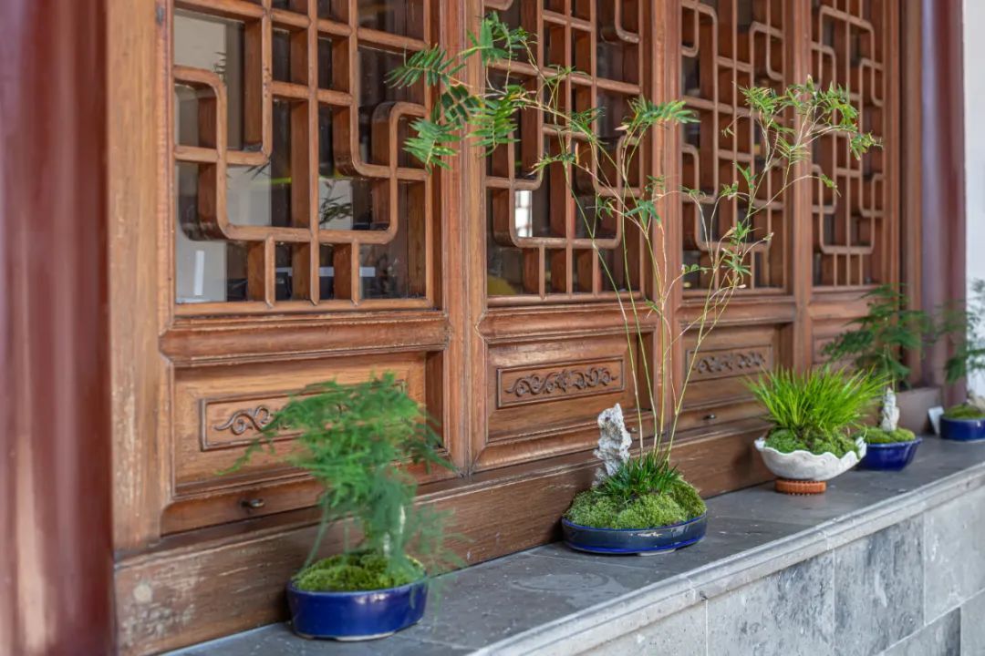 诗意栖居丨藏在古镇的私家园林，带你入住江南诗画里！