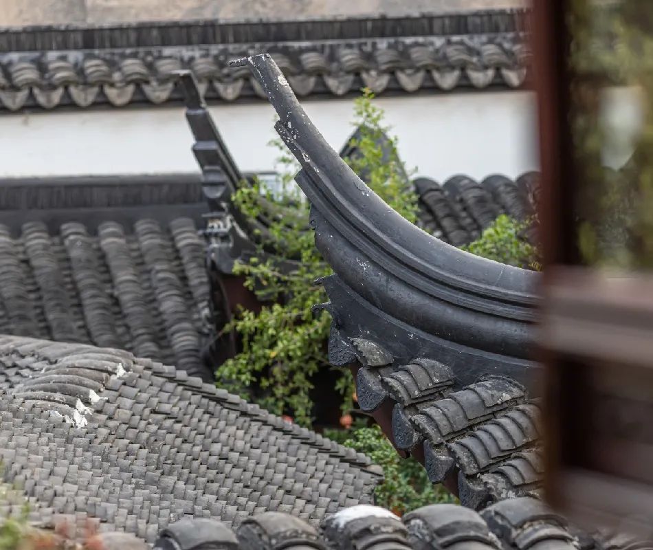 诗意栖居丨藏在古镇的私家园林，带你入住江南诗画里！