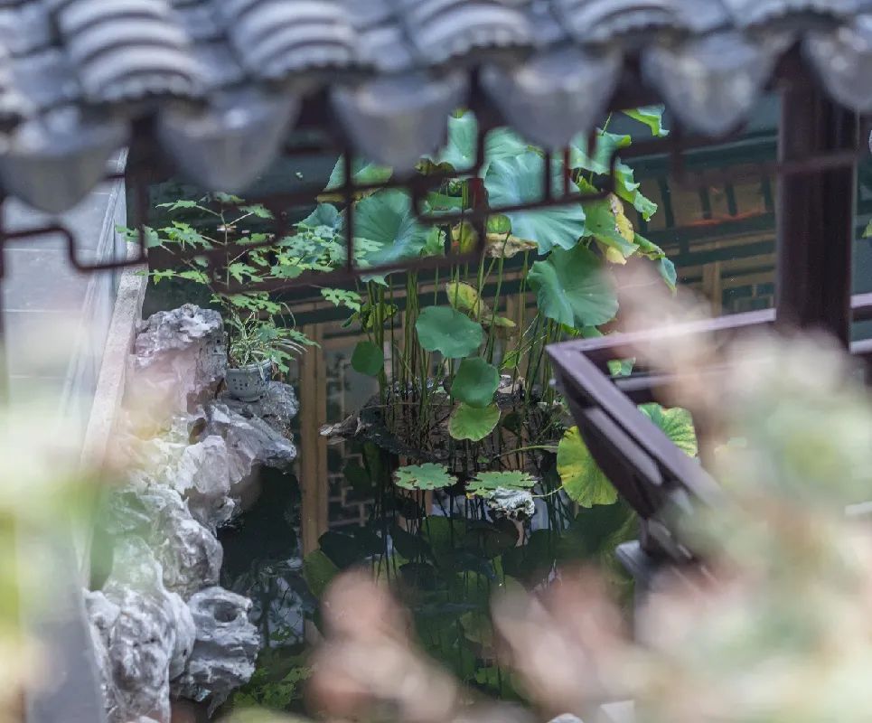 诗意栖居丨藏在古镇的私家园林，带你入住江南诗画里！