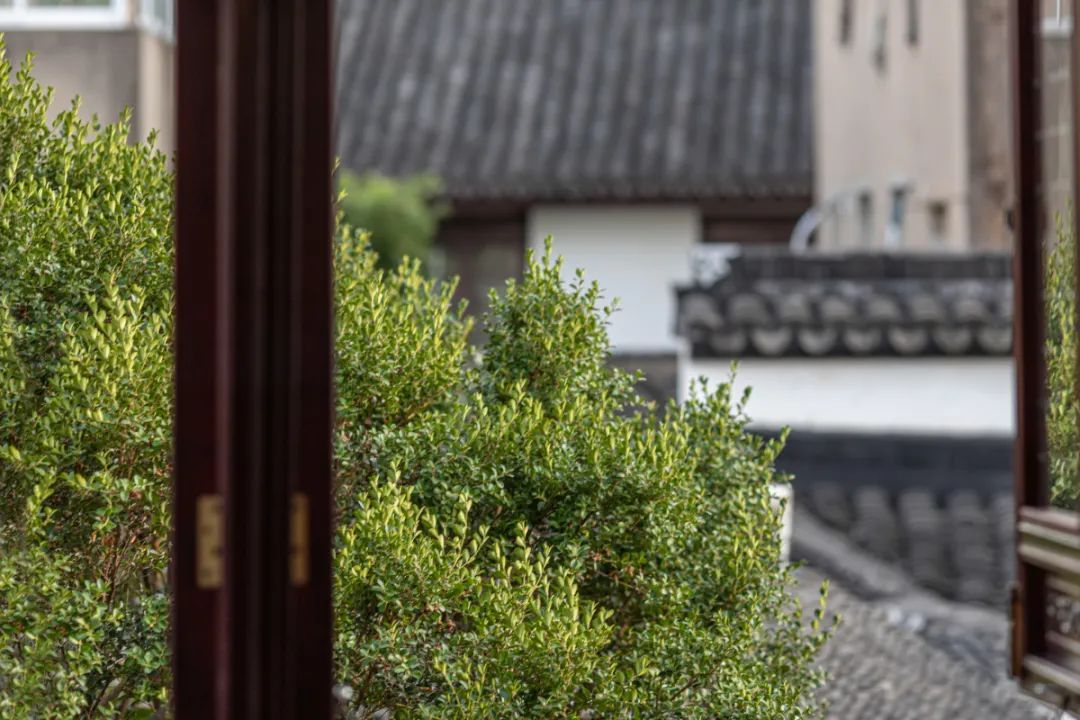 诗意栖居丨藏在古镇的私家园林，带你入住江南诗画里！